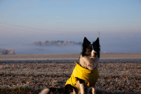Unsolicited_Enthusiasm_WinterMood-7
